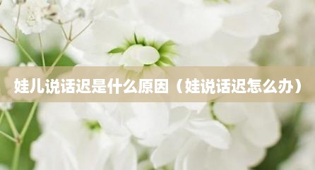 娃儿说话迟是什么原因（娃说话迟怎么办）