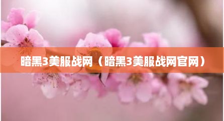 暗黑3美服战网（暗黑3美服战网官网）