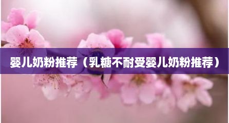 婴儿奶粉推荐（乳糖不耐受婴儿奶粉推荐）