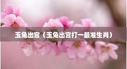 玉兔出宫（玉兔出宫打一最准生肖）