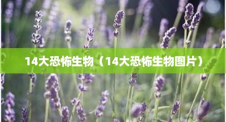 14大恐怖生物（14大恐怖生物图片）