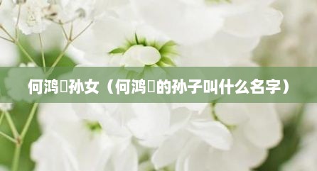 何鸿燊孙女（何鸿燊的孙子叫什么名字）