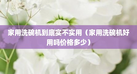 家用洗碗机到底实不实用（家用洗碗机好用吗价格多少）