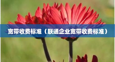 宽带收费标准（联通企业宽带收费标准）