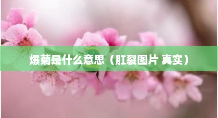 爆菊是什么意思（肛裂图片 真实）