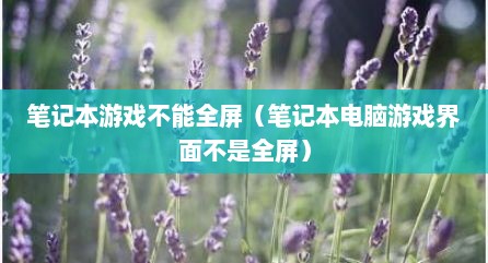 笔记本游戏不能全屏（笔记本电脑游戏界面不是全屏）