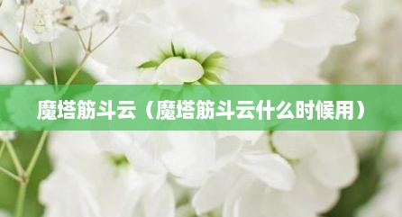 魔塔筋斗云（魔塔筋斗云什么时候用）