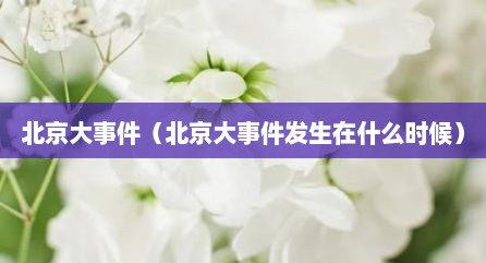 北京大事件（北京大事件发生在什么时候）