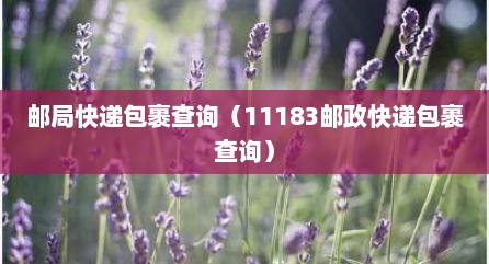 邮局快递包裹查询（11183邮政快递包裹查询）