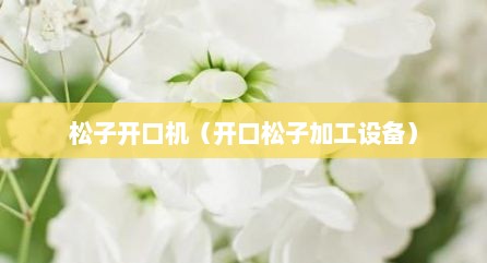 松子开口机（开口松子加工设备）