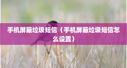 手机屏蔽垃圾短信（手机屏蔽垃圾短信怎么设置）