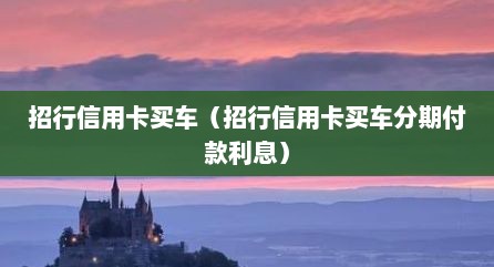 招行信用卡买车（招行信用卡买车分期付款利息）