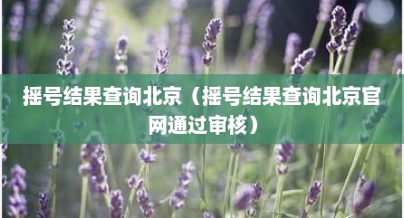 摇号结果查询北京（摇号结果查询北京官网通过审核）