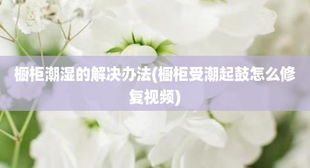 橱柜潮湿的解决办法(橱柜受潮起鼓怎么修复视频)