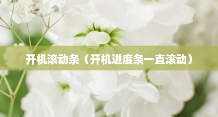 开机滚动条（开机进度条一直滚动）