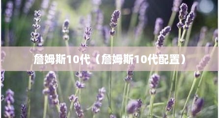 詹姆斯10代（詹姆斯10代配置）