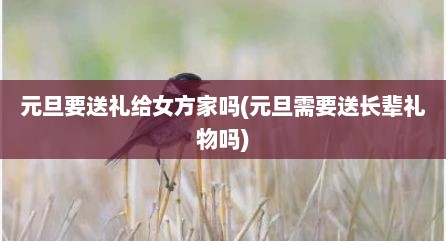 元旦要送礼给女方家吗(元旦需要送长辈礼物吗)