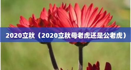 2020立秋（2020立秋母老虎还是公老虎）