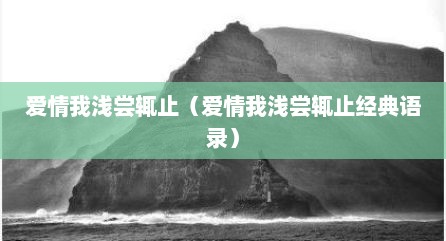 爱情我浅尝辄止（爱情我浅尝辄止经典语录）