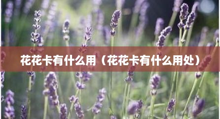 花花卡有什么用（花花卡有什么用处）