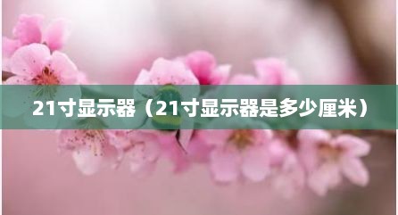 21寸显示器（21寸显示器是多少厘米）