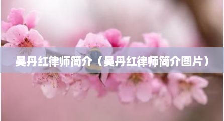 吴丹红律师简介（吴丹红律师简介图片）