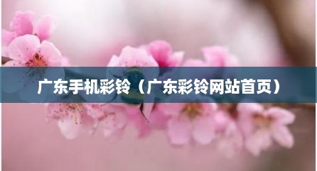 广东手机彩铃（广东彩铃网站首页）