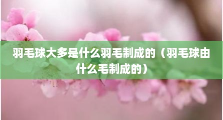 羽毛球大多是什么羽毛制成的（羽毛球由什么毛制成的）