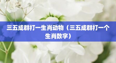 三五成群打一生肖动物（三五成群打一个生肖数字）