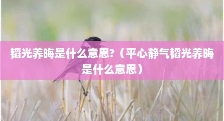 韬光养晦是什么意思?（平心静气韬光养晦是什么意思）