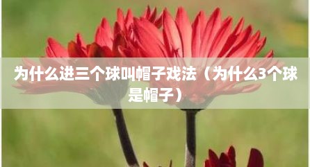 为什么进三个球叫帽子戏法（为什么3个球是帽子）