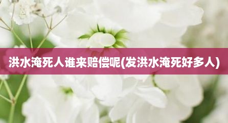 洪水淹死人谁来赔偿呢(发洪水淹死好多人)