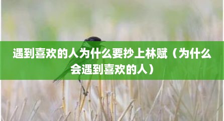 遇到喜欢的人为什么要抄上林赋（为什么会遇到喜欢的人）