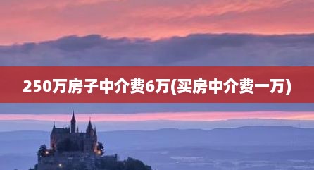 250万房子中介费6万(买房中介费一万)