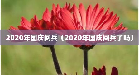 2020年国庆阅兵（2020年国庆阅兵了吗）