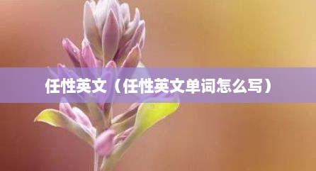 任性英文（任性英文单词怎么写）