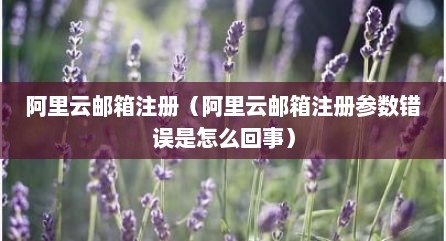 阿里云邮箱注册（阿里云邮箱注册参数错误是怎么回事）