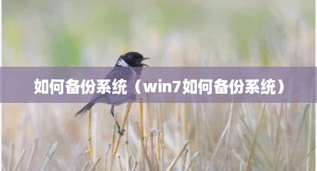 如何备份系统（win7如何备份系统）