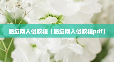 局域网入侵教程（局域网入侵教程pdf）