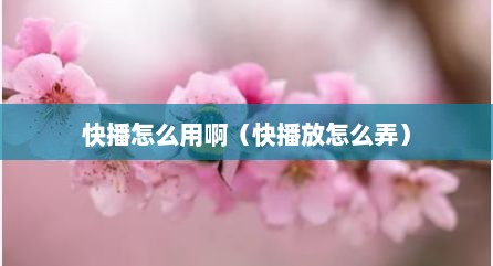 快播怎么用啊（快播放怎么弄）