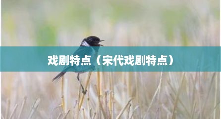 戏剧特点（宋代戏剧特点）