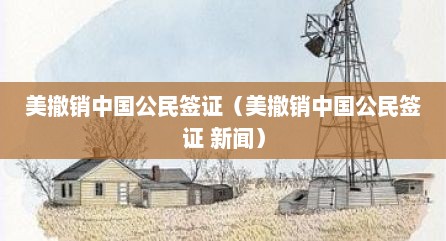 美撤销中国公民签证（美撤销中国公民签证 新闻）