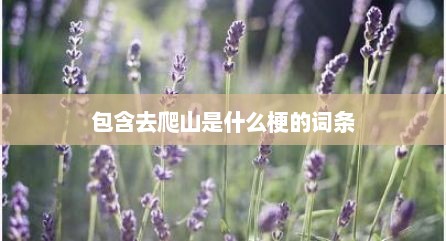 包含去爬山是什么梗的词条