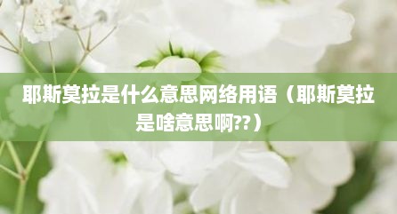 耶斯莫拉是什么意思网络用语（耶斯莫拉是啥意思啊??）