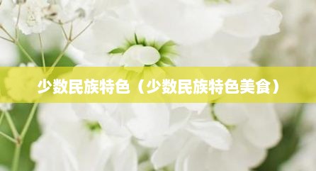 少数民族特色（少数民族特色美食）