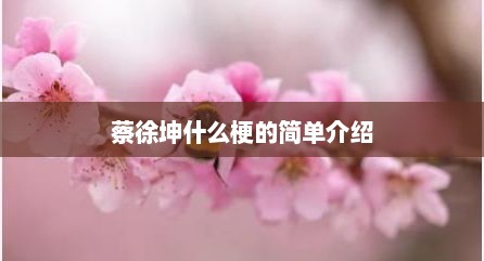 蔡徐坤什么梗的简单介绍