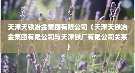 天津天铁冶金集团有限公司（天津天铁冶金集团有限公司与天津铁厂有限公司关系）