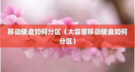 移动硬盘如何分区（大容量移动硬盘如何分区）