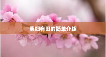 寡妇有田的简单介绍