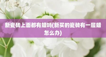 新瓷砖上面都有蜡吗(新买的瓷砖有一层蜡怎么办)